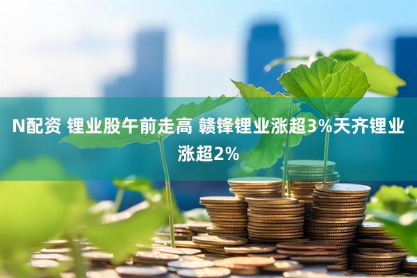 N配资 锂业股午前走高 赣锋锂业涨超3%天齐锂业涨超2%
